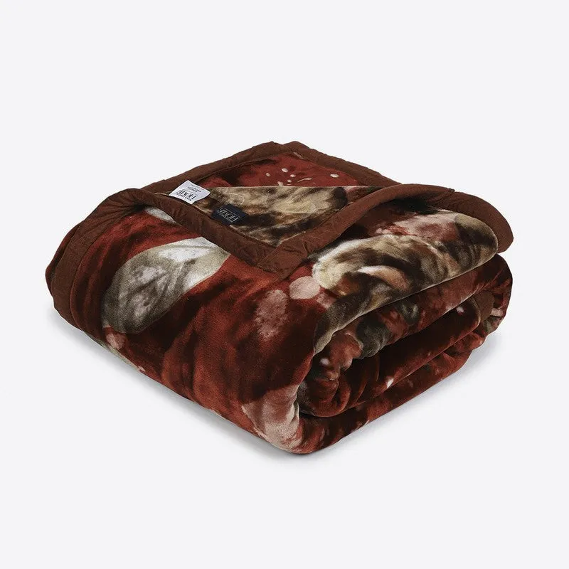 Monte Carlo Velvet Bloom Blanket (Maroon) - 947 GSM media 5