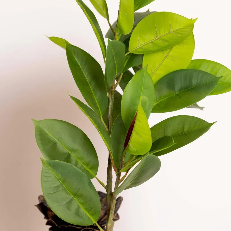 Artificial Croton Leaf Plant Without Pot - 3 Feet media 5