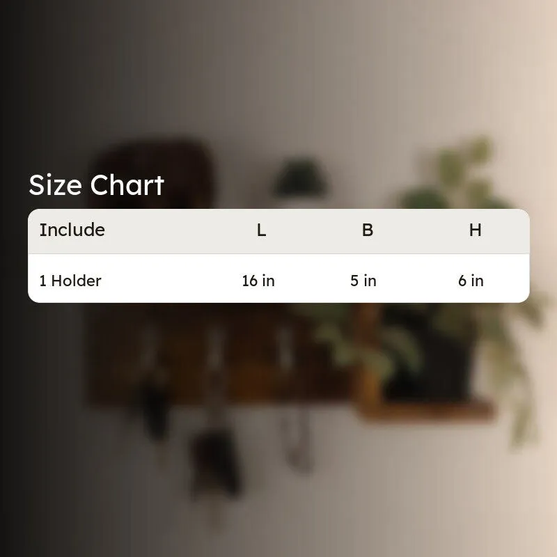 Product size graphic showing one holder measuring 16 by 5 by 6 inches.