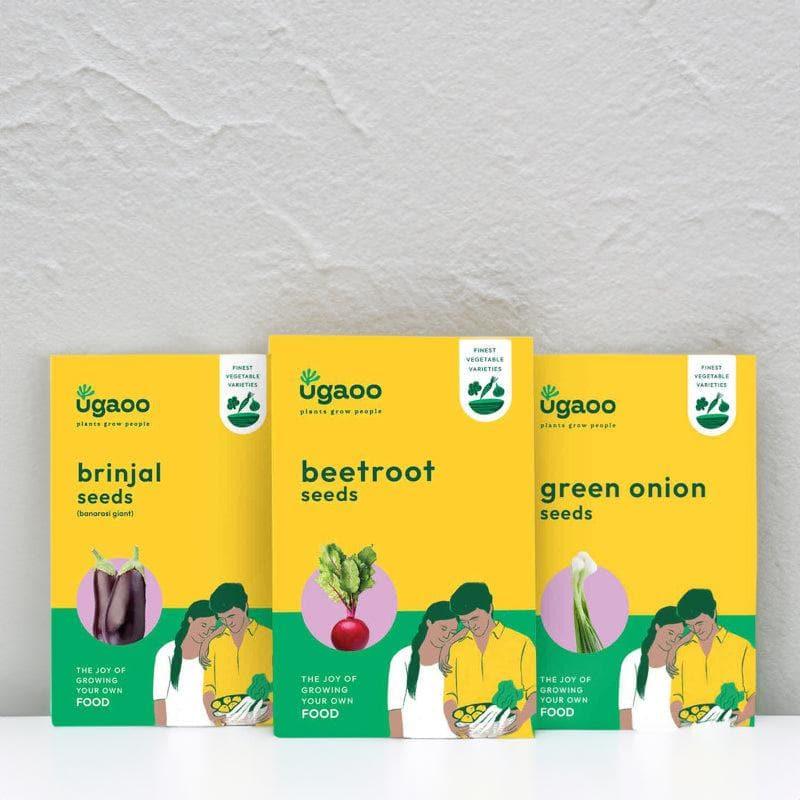 Ugaoo Veges Seeds (Beetroot, Green Onion, Brinjal Banarshi) - Set Of Three