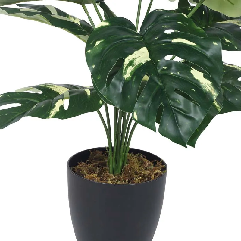 Faux Lush Variegated Monstera Plant With Black Plastic Pot - 1.8 Feet media 5