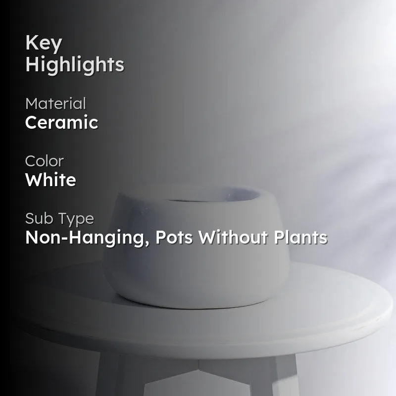 Ugaoo Tulip Fantasy 6031 White Ceramic Pot media 2