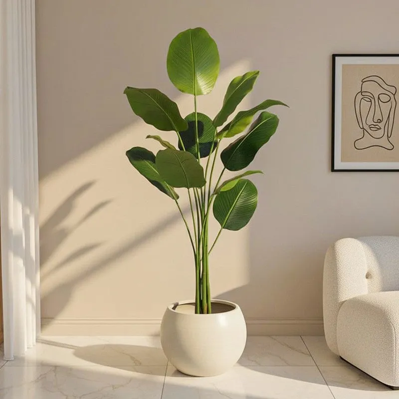 Artificial Calathea Plant With Black Fiber Pot - 4.8 Feet media 1