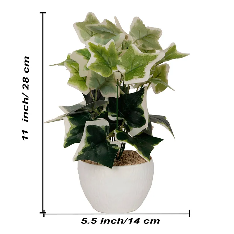 Ivelle Artificial Plant With Black Plastic Pot - White media 4
