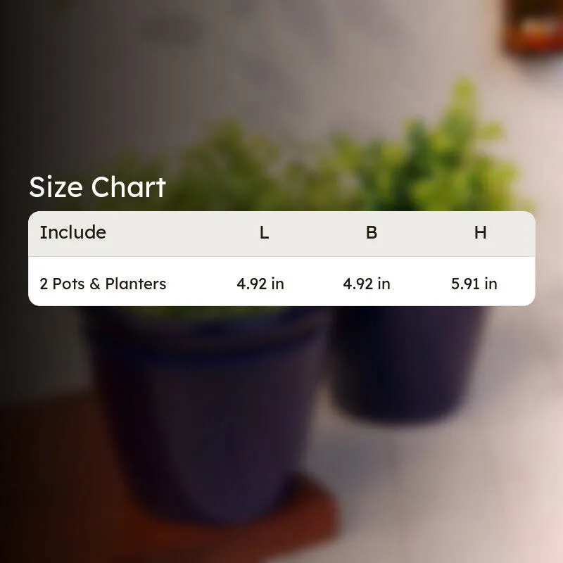 EternaBloom Planter Series - Set Of Two media 11