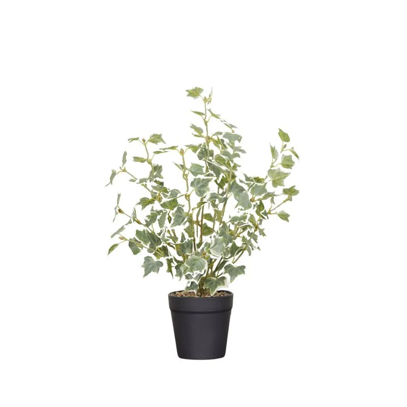 Artificial Frosted Ivy Plant With Black Fiber Pot - 1.4 Feet media 4