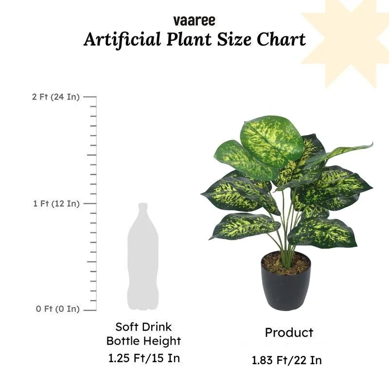 Faux Lush Dieffenbachia Plant With Black Plastic Pot - 1.8 Feet media 6
