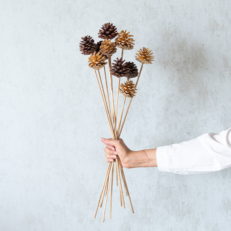 Dried Flowers & Leaves
