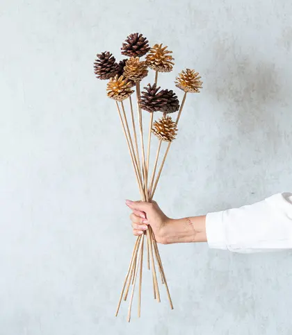 Dried Flowers & Leaves