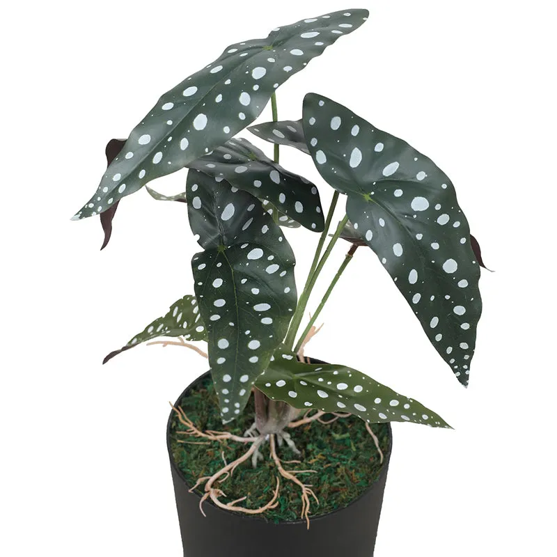 Botanic Bliss Artificial Plant With Black Plastic Pot media 6