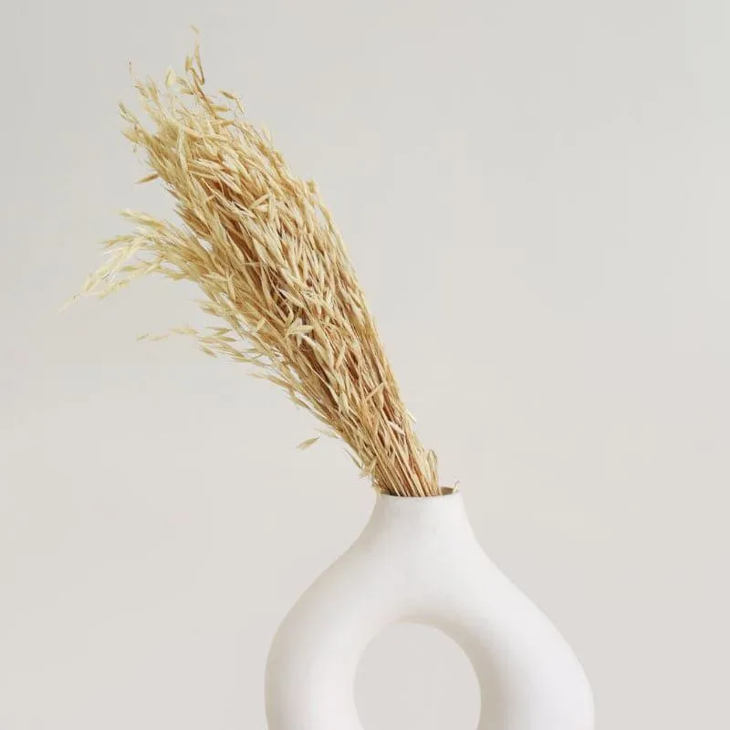 Hazo Millet Grass Dried Havana Grass Bunch - White media 1