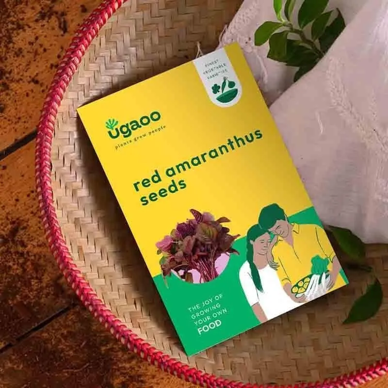 Ugaoo Red Amaranthus Seeds (Red Math) media 4