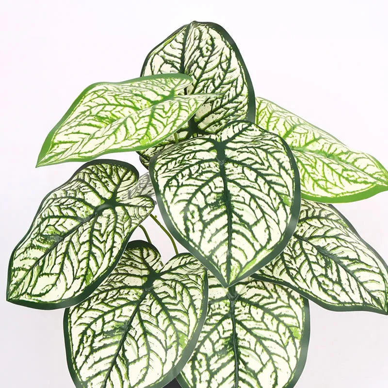 Calena Artificial Caladium With Black Plastic Pot - White media 5
