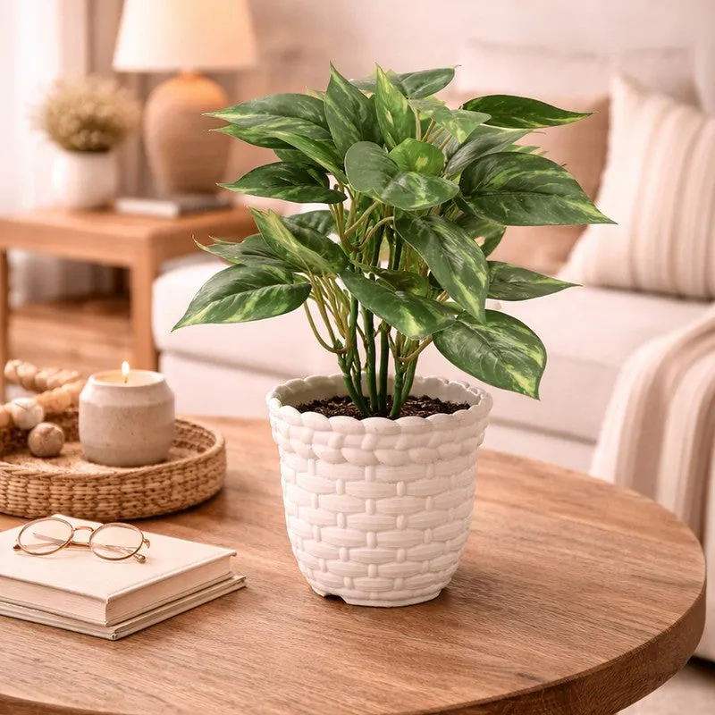 Neonix Syngonium Artificial Plant With Plastic Pot - 0.8 Feet media 6