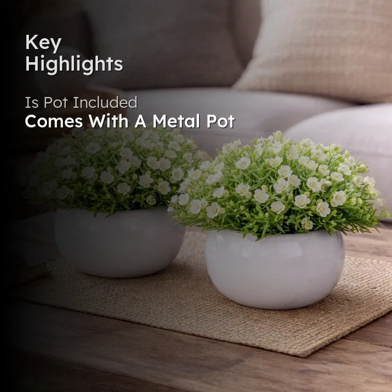 Velvique Artificial Rose Flower Plant With Pot (White,14CM) - Set Of Two media 2