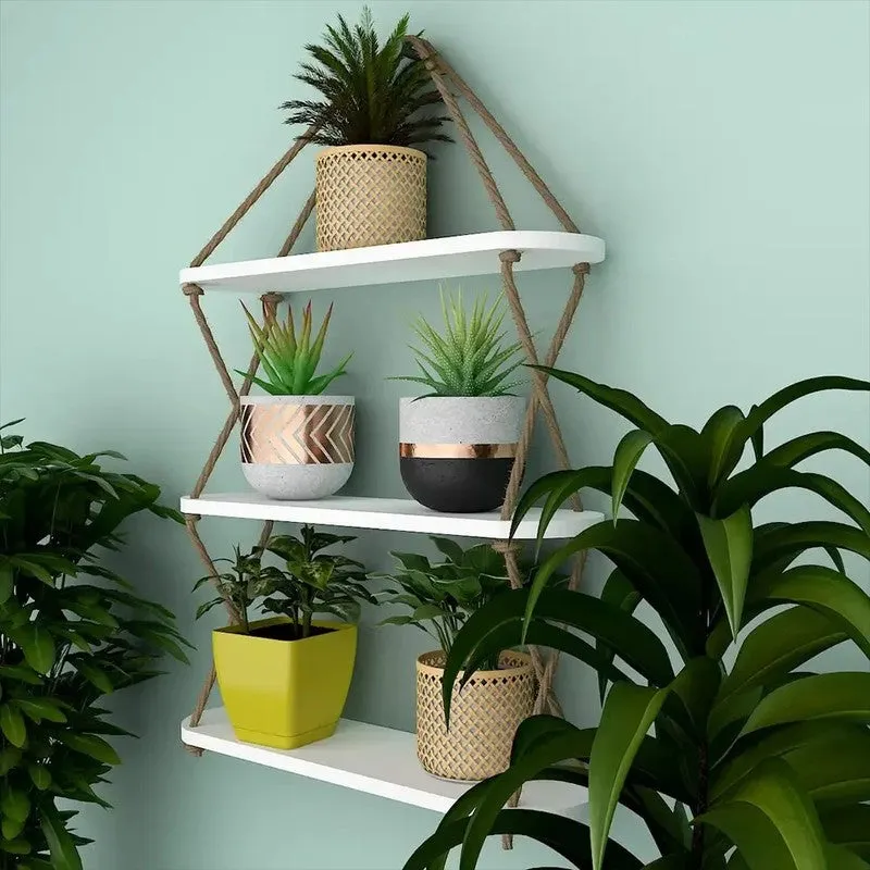 Tint Trail (MDF,Wood) Shelves media 4