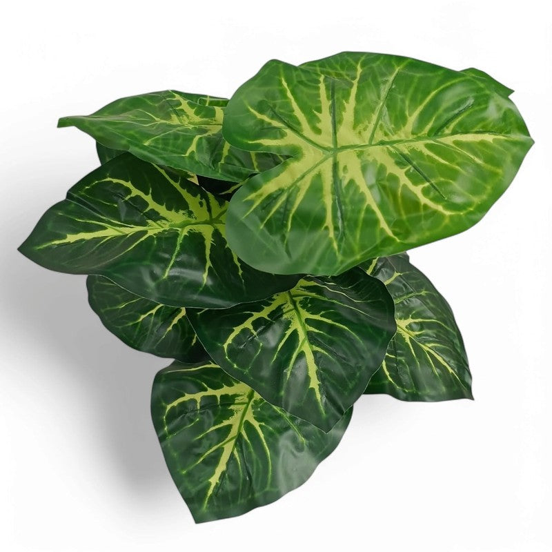 Rootella Artificial Alocasia Plant - 1.5 Feet media 6