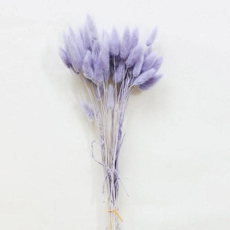 Dried Flowers & Leaves