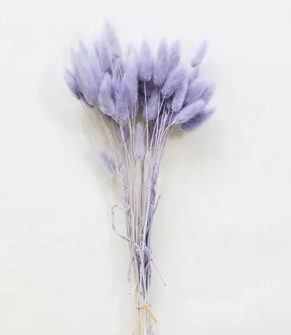 Dried Flowers & Leaves
