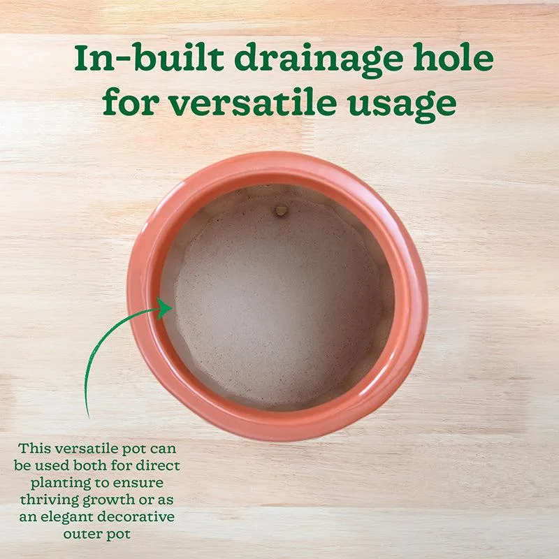 Ugaoo Straits Ceramic Planter - Coral media 7