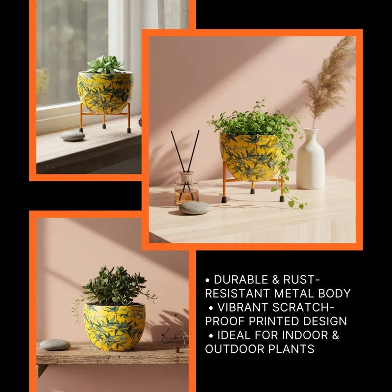 Bloom Craft Pots & Planter media 4