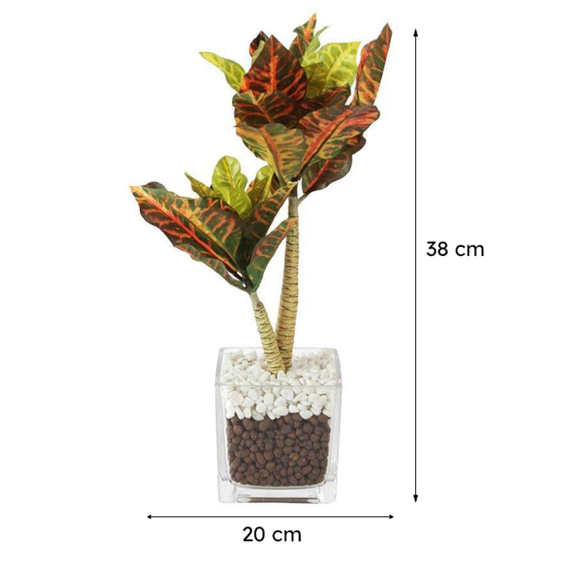 Faux Tall Croton Bonsai In Glass Pot - 38 cms media 6