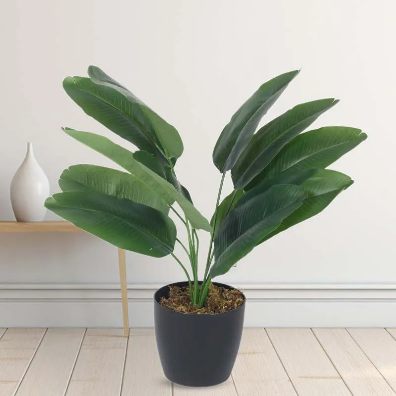 Faux Lush Bird of Paradise Plant With Black Plastic Pot - 1.5 Feet media 2