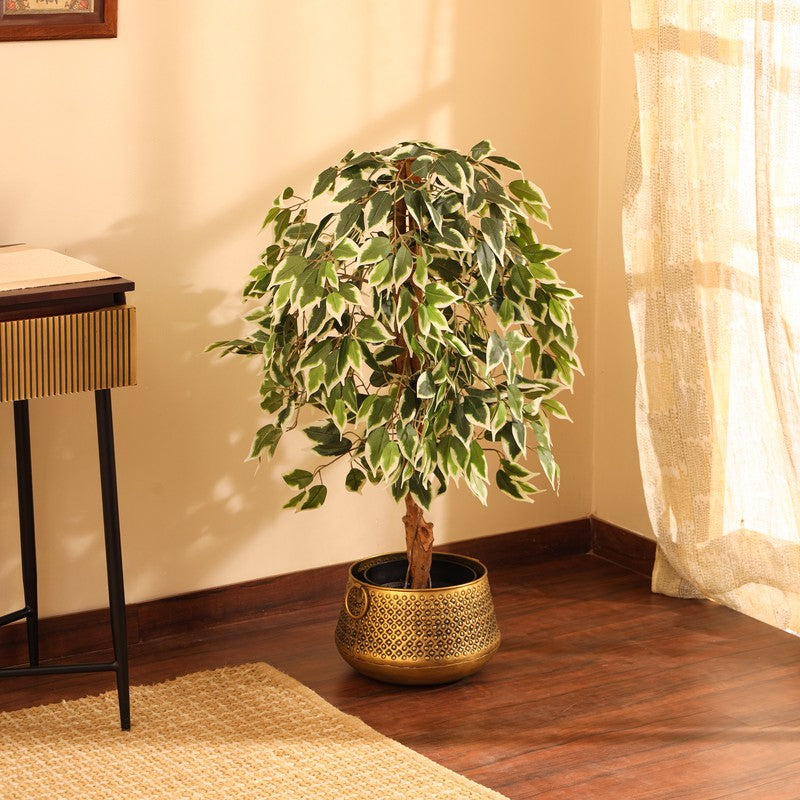 Artificial Variegated Ficus Plant With Black Plastic Pot - 4 ft media 4