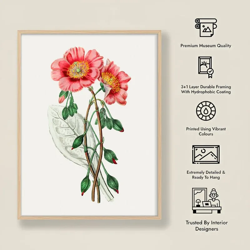 Springs Embrace Archival Paper Wall Art - Natural Brown Frame media 8