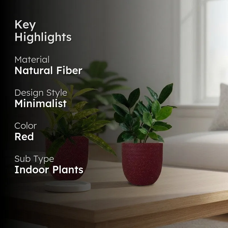 Greenkin ZZ & Bamboo Live Plants (Red) - Set Of Two media 2