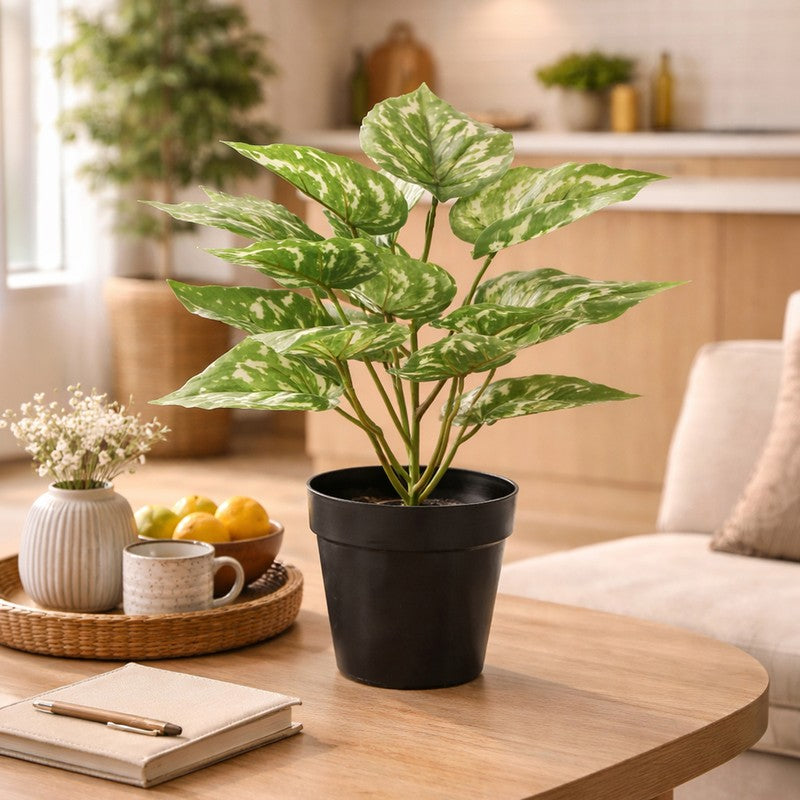 Neonix Money Artificial Plant With Plastic Pot - 1.2 Feet