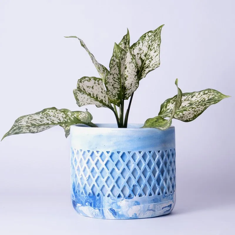 Diemona Planter - Blue media 4