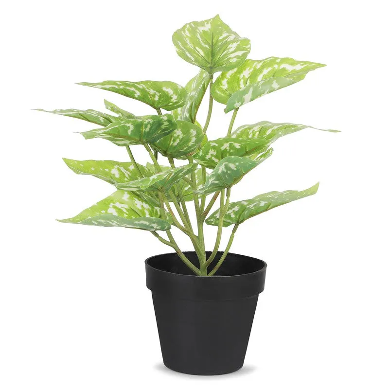 Neonix Money Artificial Plant With Plastic Pot - 1.2 Feet media 3