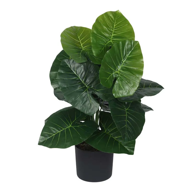 Faux Lush Rubber Fig Plant With Black Plastic Pot - 2.3 Feet media 4