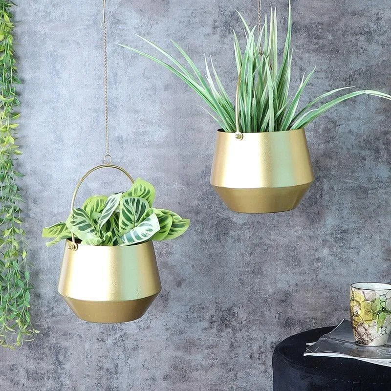 Tesho Hanging Planter - Set Of Two media 1