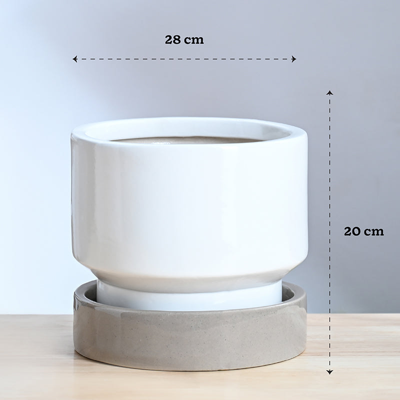 Ugaoo Pot-fection Ceramic Planter - White media 10