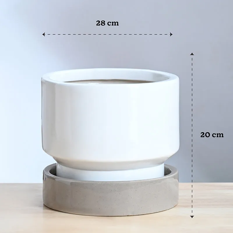Ugaoo Pot-fection Ceramic Planter - White media 10