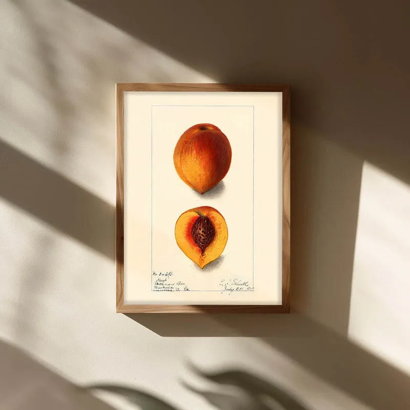 FruitAura Archival Canvas Wall Art - Brown media 3