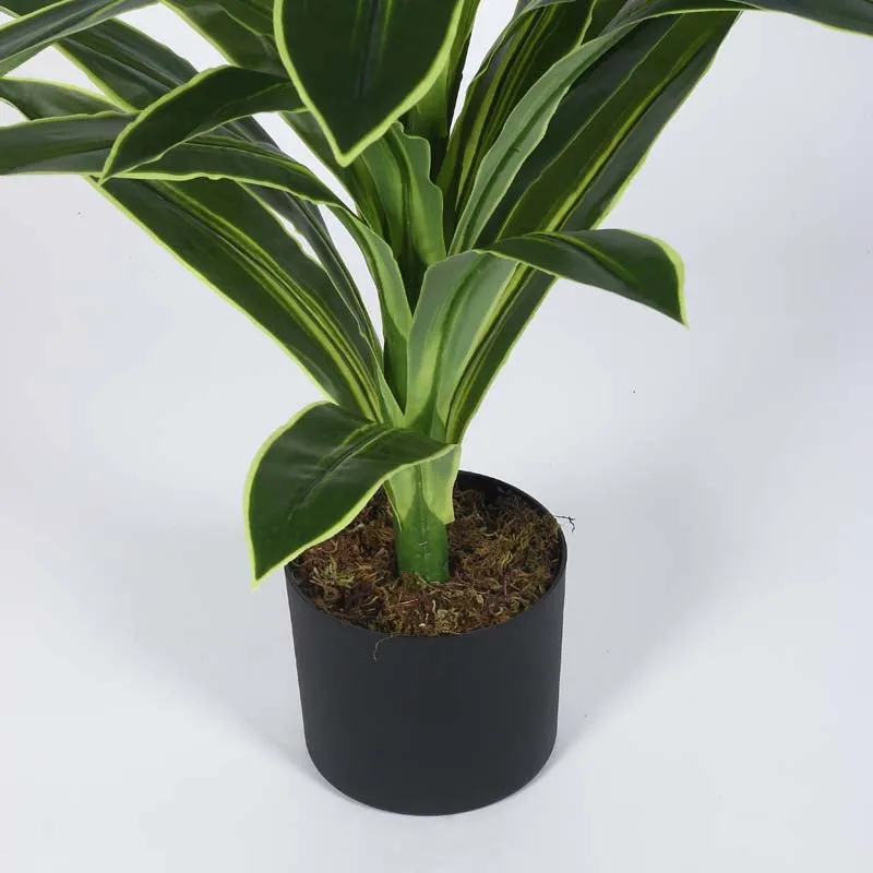 Faux Lush Dracaena Reflexa Plant With Black Plastic Pot - 4 Feet media 6