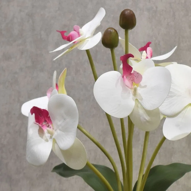 Realistic Artificial Orchid Flower Bunches - White & Green media 4