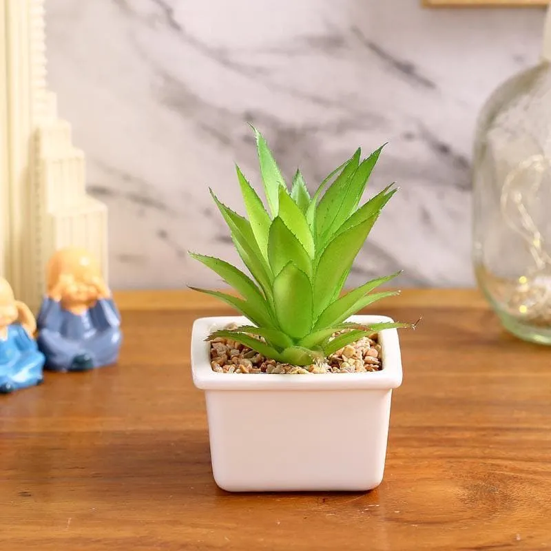 Faux Agave In White Pot - 14.5 cms media 1