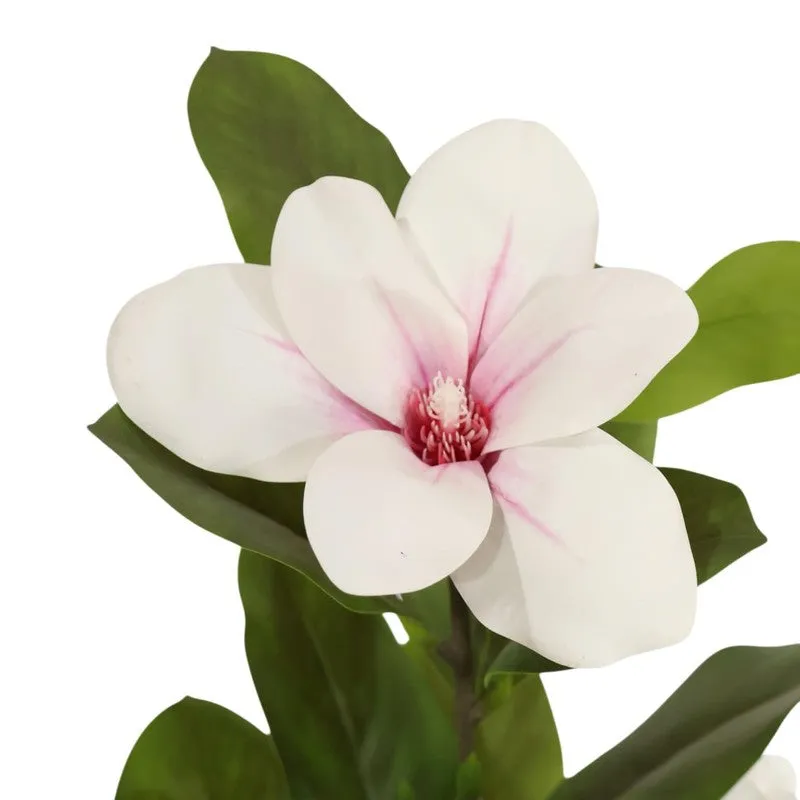 Leafio Artificial Mangolia Plant - 3.3 Feet media 5