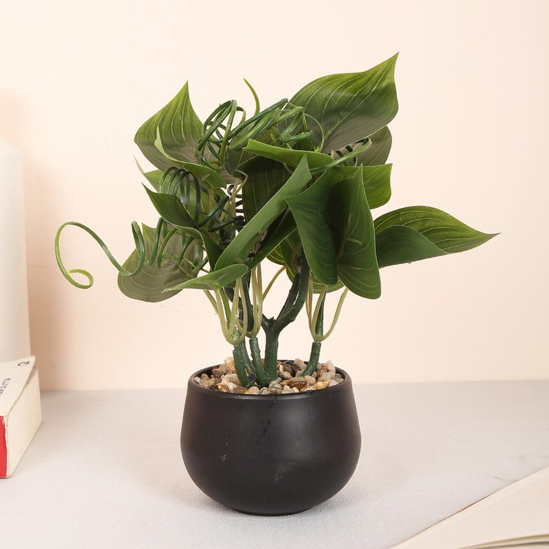 Feng Shui Artificial Money Plant With Pot