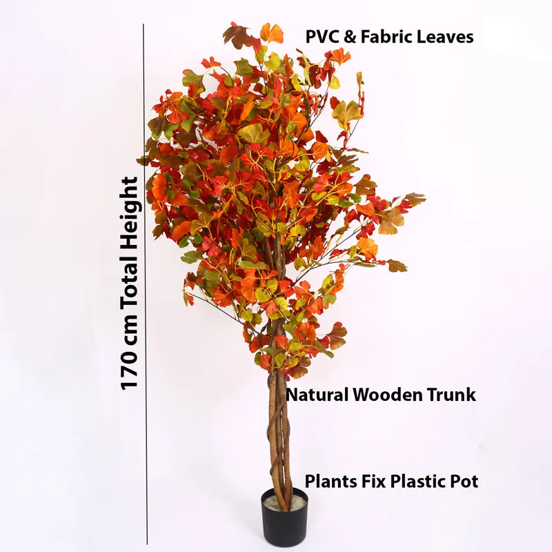 Verdiq Artificial Ginko With Black Plastic Pot - 5.5 Feet media 8