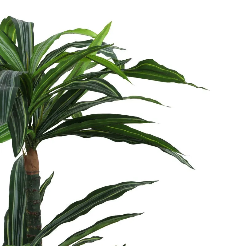 Artificial Variegated Dracaena Plant With Black Plastic Pot 5 ft media 6