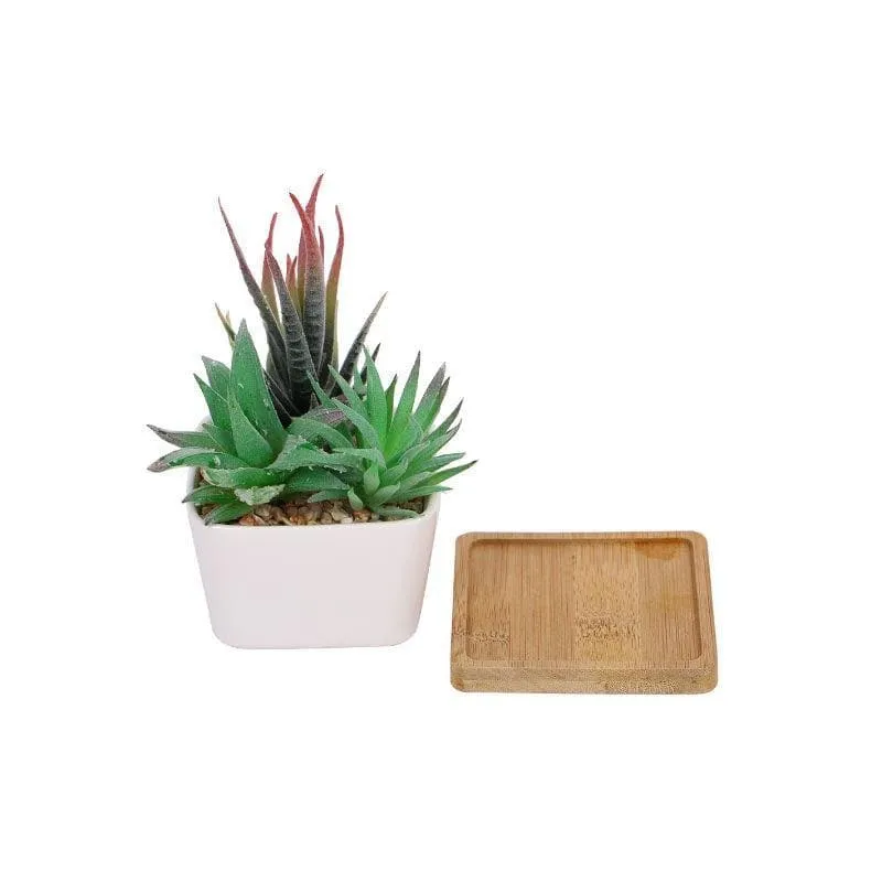 Faux Succulent Set In Square Pot - 14.5 cms media 4