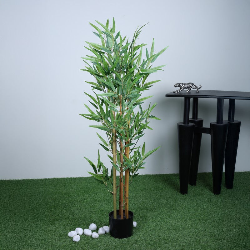 VerdaBloom Bamboo Plant With Black Fiber Pot - 3.9 Feet media 3