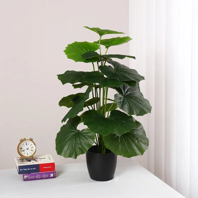 Verdiva III Artificial Plant With Black Plastic Pot - 2 Feet media 5