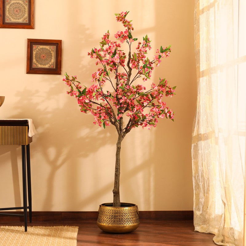 Cherry Blossom Plant With Black Plastic Pot - 5 ft