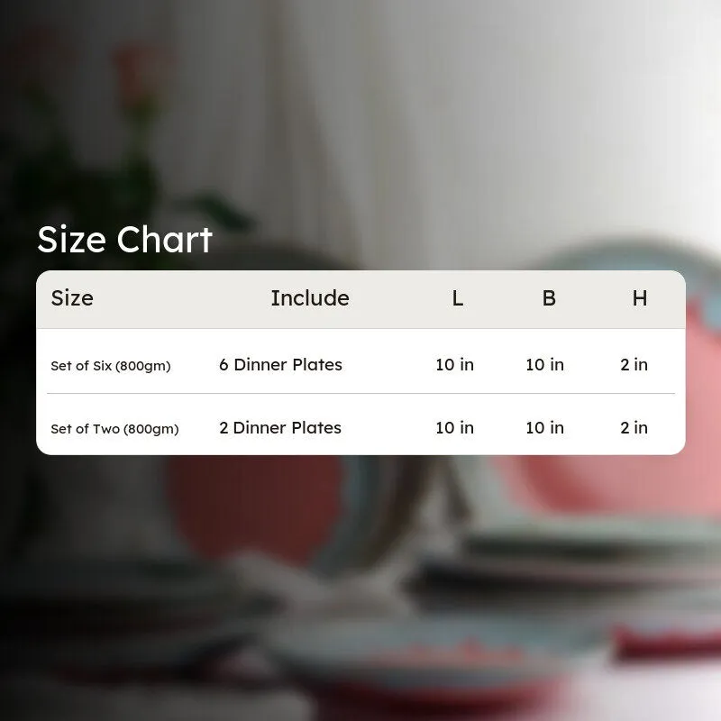 Aldia Handmade Dinner Plate media 5